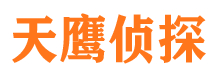 理塘调查公司